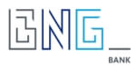 logo BNG bank
